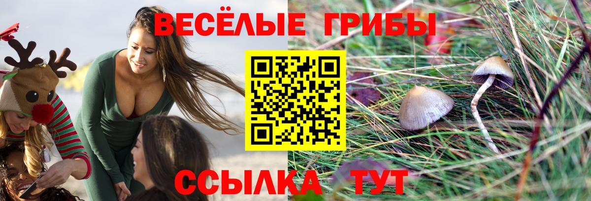 Галлюциногенные грибы Psilocybe  Псилоцибиновые грибы ЛСД  Соль-Илецк  Вход с VPN 