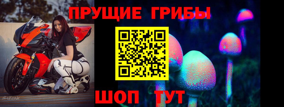 Псилоцибиновые грибы мицелий Соль-Илецк